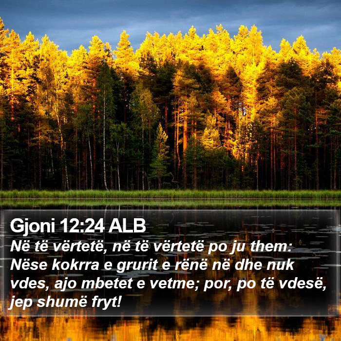 Gjoni 12:24 ALB Bible Study
