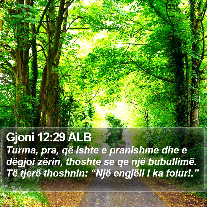 Gjoni 12:29 ALB Bible Study