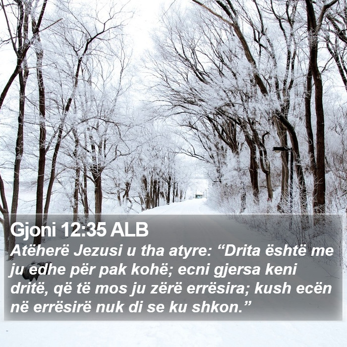 Gjoni 12:35 ALB Bible Study