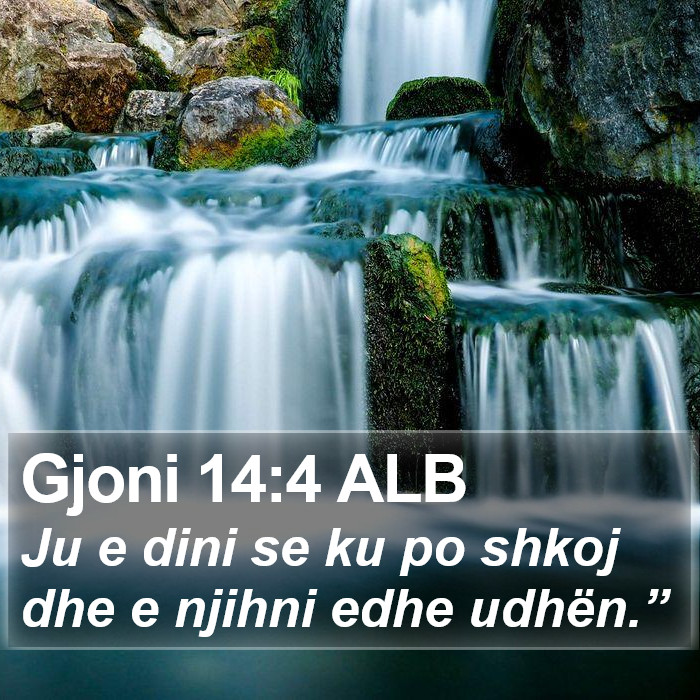 Gjoni 14:4 ALB Bible Study
