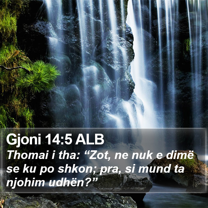Gjoni 14:5 ALB Bible Study