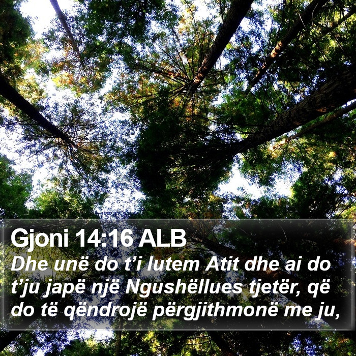 Gjoni 14:16 ALB Bible Study