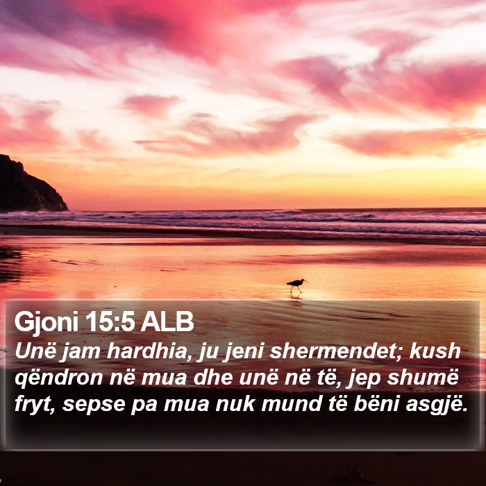 Gjoni 15:5 ALB Bible Study