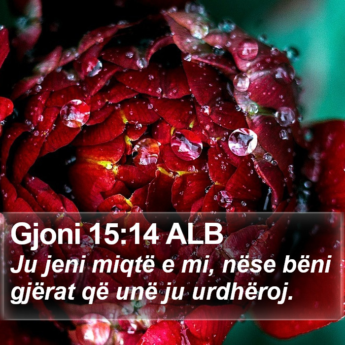 Gjoni 15:14 ALB Bible Study