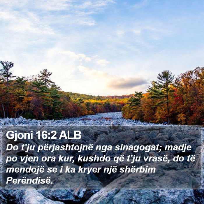 Gjoni 16:2 ALB Bible Study