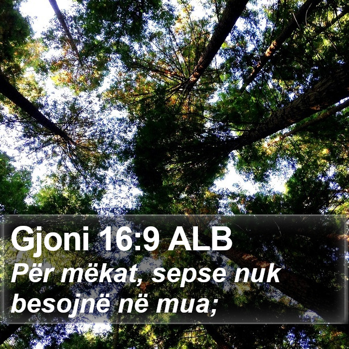 Gjoni 16:9 ALB Bible Study