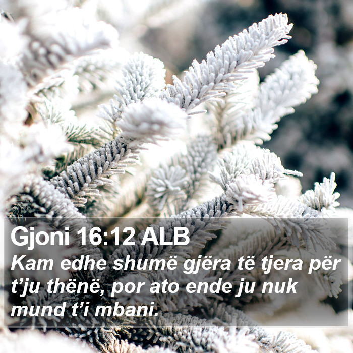 Gjoni 16:12 ALB Bible Study