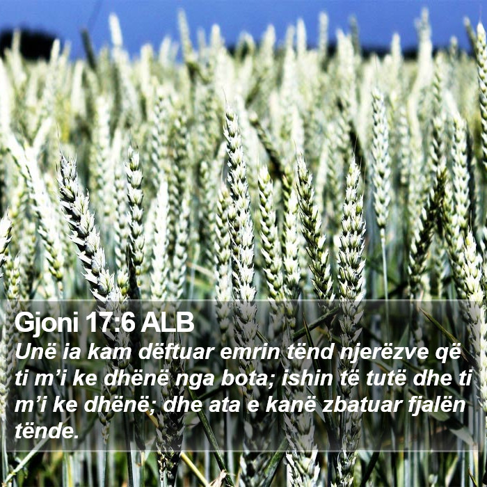 Gjoni 17:6 ALB Bible Study