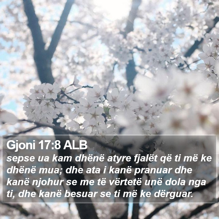 Gjoni 17:8 ALB Bible Study