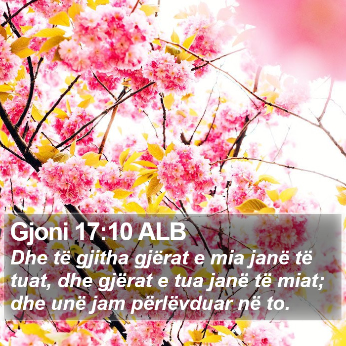 Gjoni 17:10 ALB Bible Study