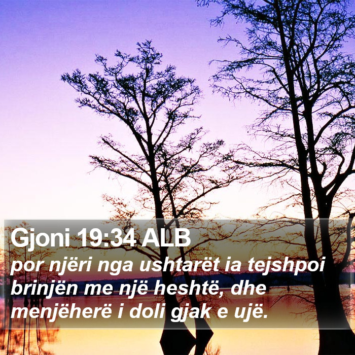 Gjoni 19:34 ALB Bible Study