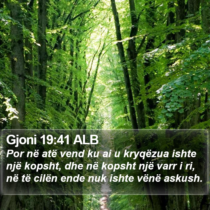 Gjoni 19:41 ALB Bible Study