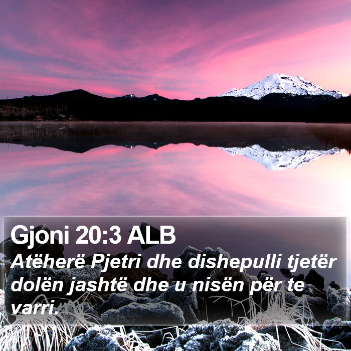 Gjoni 20:3 ALB Bible Study