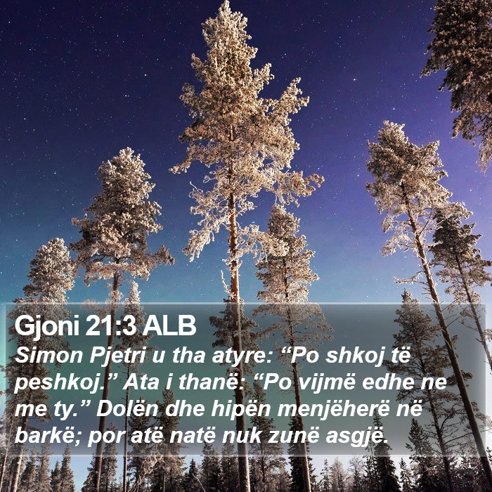Gjoni 21:3 ALB Bible Study