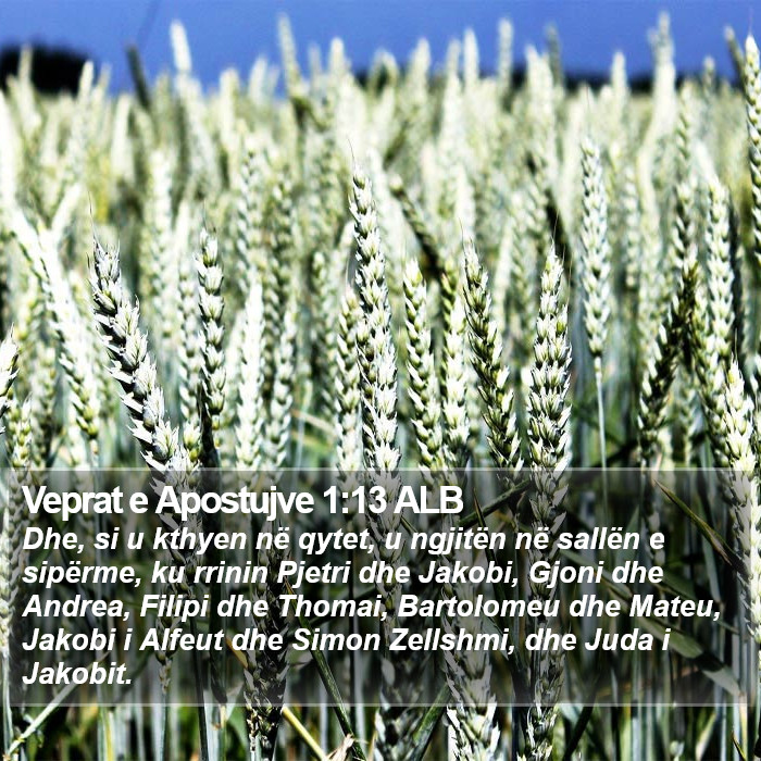 Veprat e Apostujve 1:13 ALB Bible Study