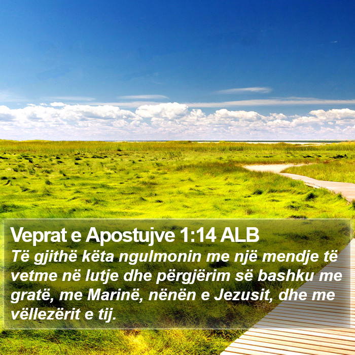 Veprat e Apostujve 1:14 ALB Bible Study