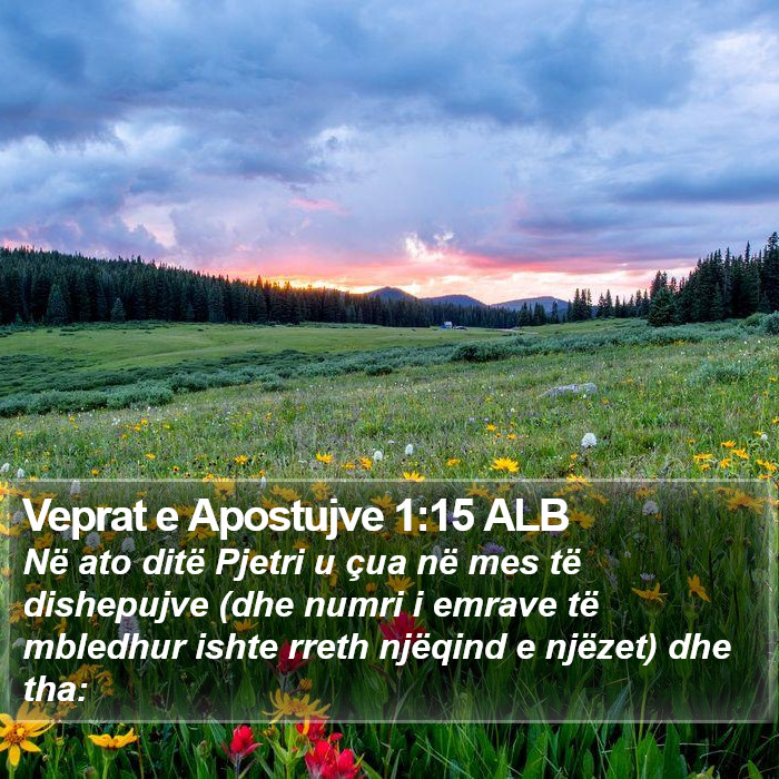 Veprat e Apostujve 1:15 ALB Bible Study