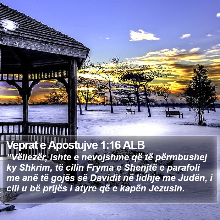 Veprat e Apostujve 1:16 ALB Bible Study