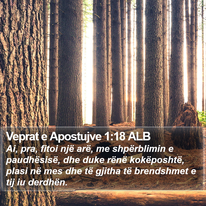 Veprat e Apostujve 1:18 ALB Bible Study