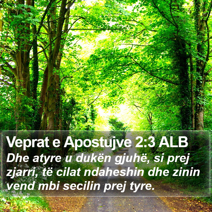 Veprat e Apostujve 2:3 ALB Bible Study