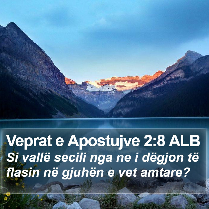 Veprat e Apostujve 2:8 ALB Bible Study