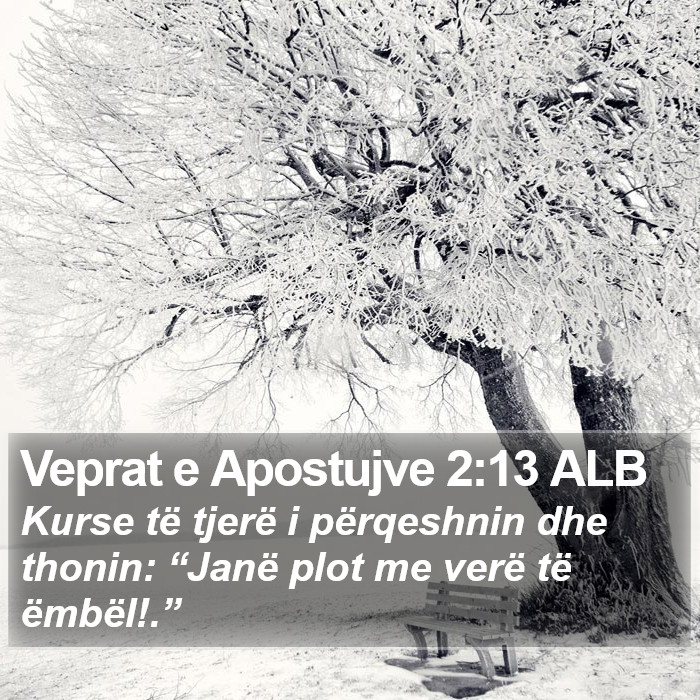 Veprat e Apostujve 2:13 ALB Bible Study