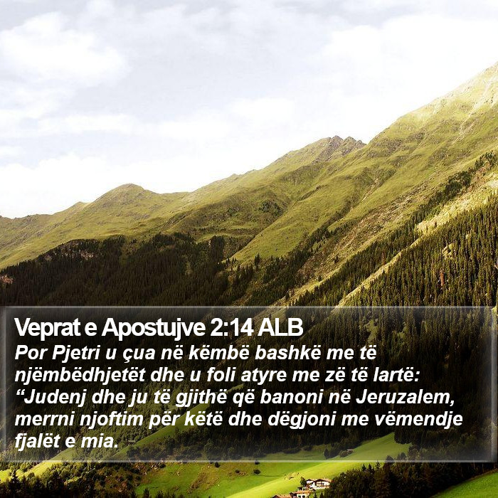 Veprat e Apostujve 2:14 ALB Bible Study