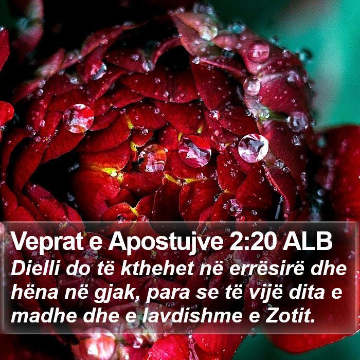 Veprat e Apostujve 2:20 ALB Bible Study