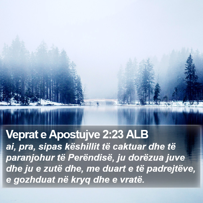 Veprat e Apostujve 2:23 ALB Bible Study