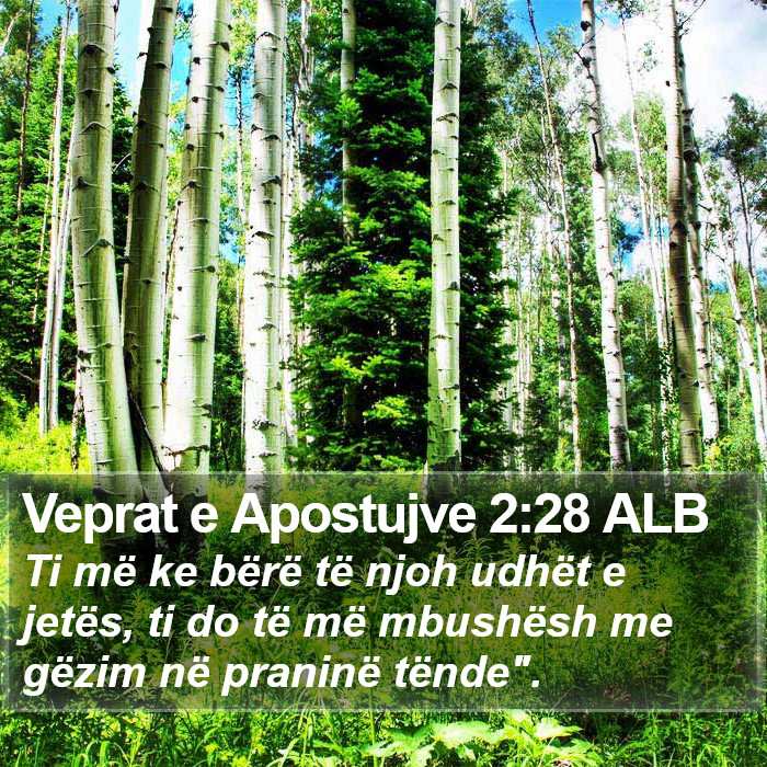 Veprat e Apostujve 2:28 ALB Bible Study