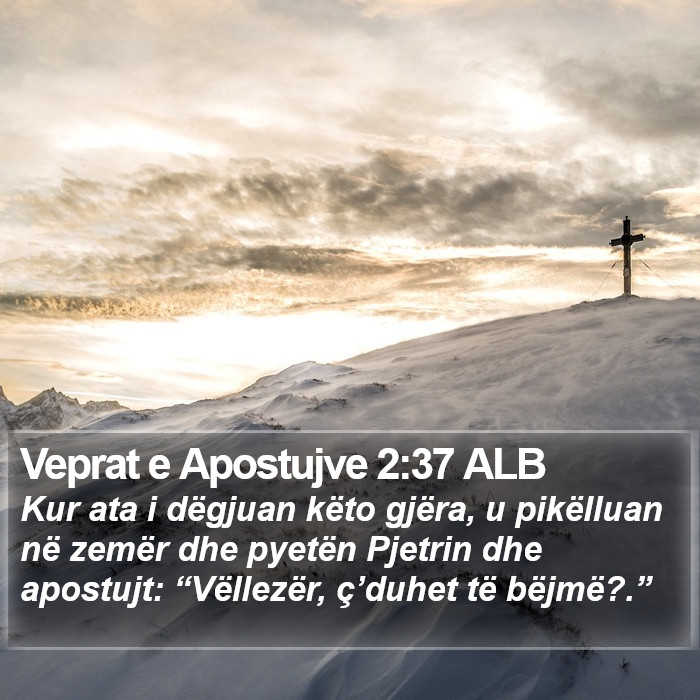 Veprat e Apostujve 2:37 ALB Bible Study
