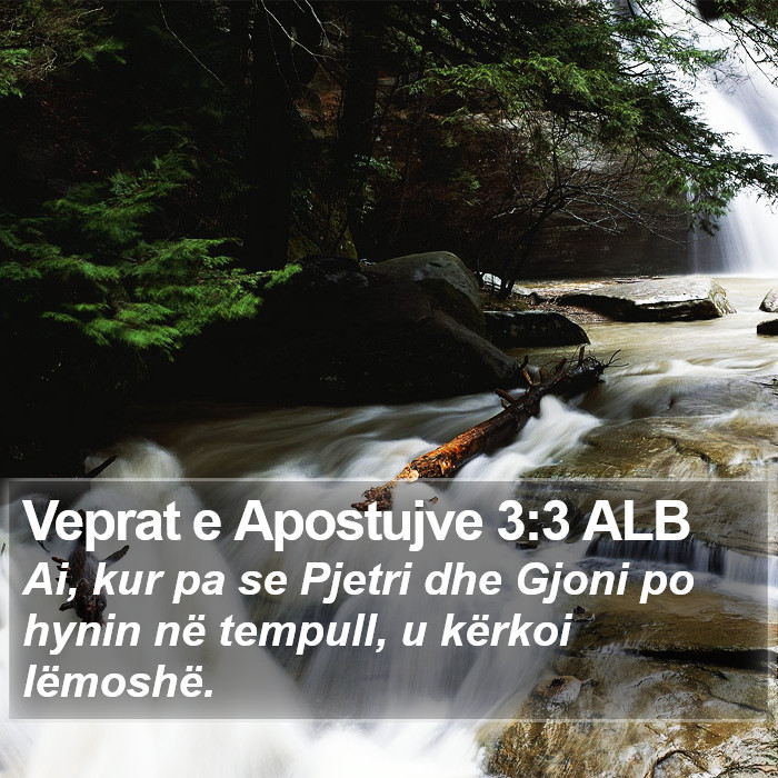 Veprat e Apostujve 3:3 ALB Bible Study