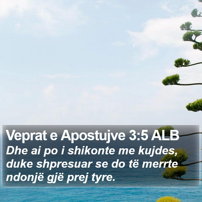 Veprat e Apostujve 3:5 ALB Bible Study