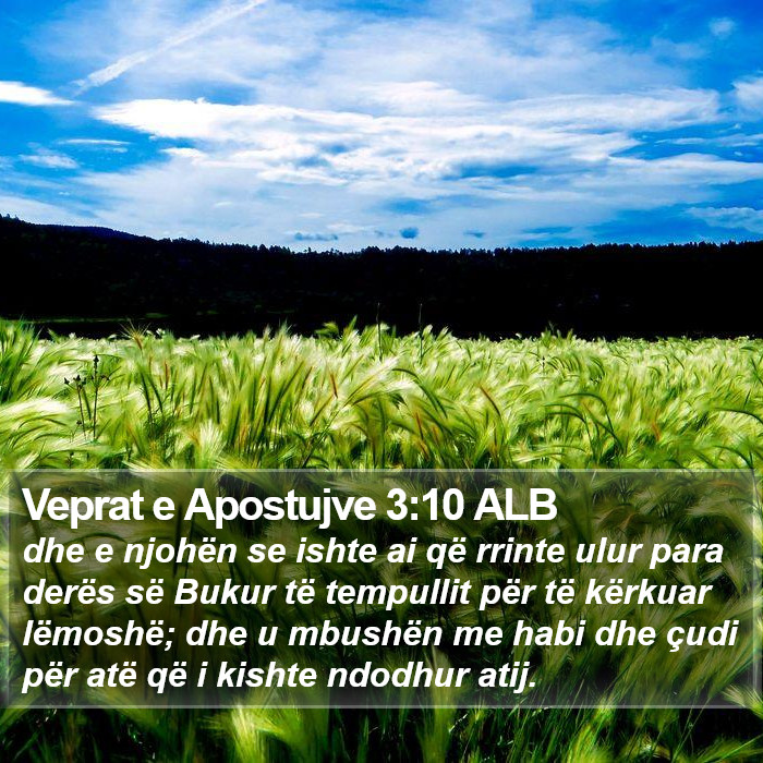 Veprat e Apostujve 3:10 ALB Bible Study