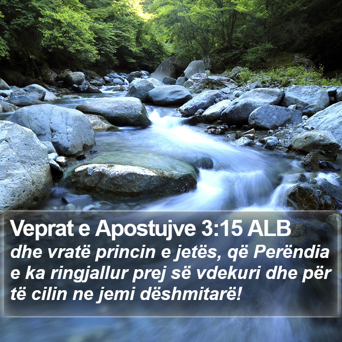 Veprat e Apostujve 3:15 ALB Bible Study