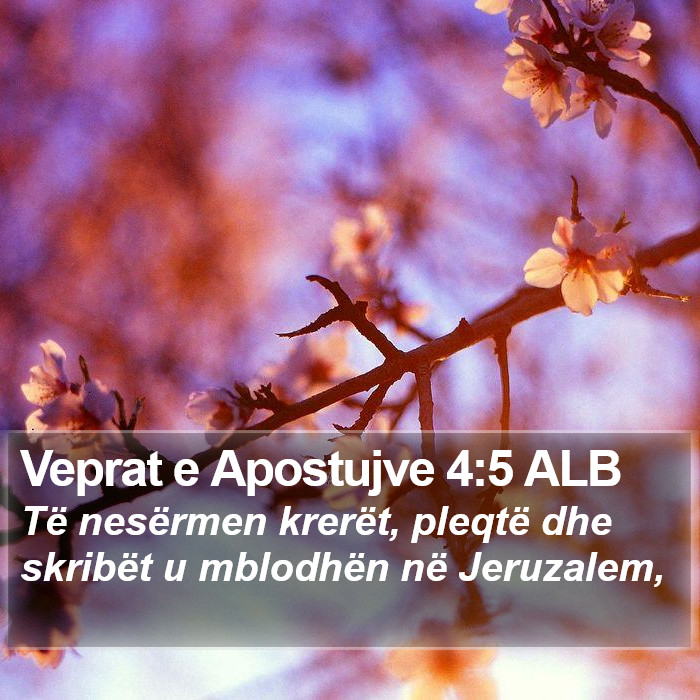 Veprat e Apostujve 4:5 ALB Bible Study