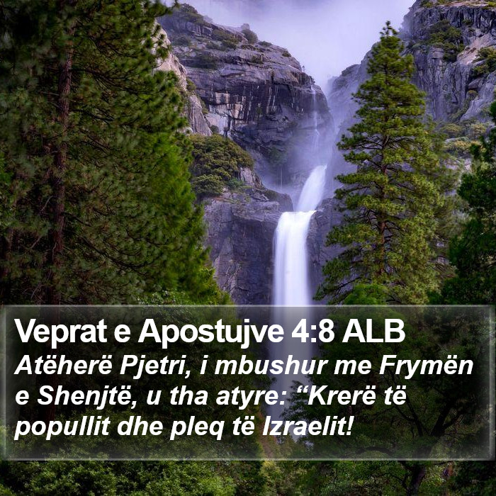 Veprat e Apostujve 4:8 ALB Bible Study