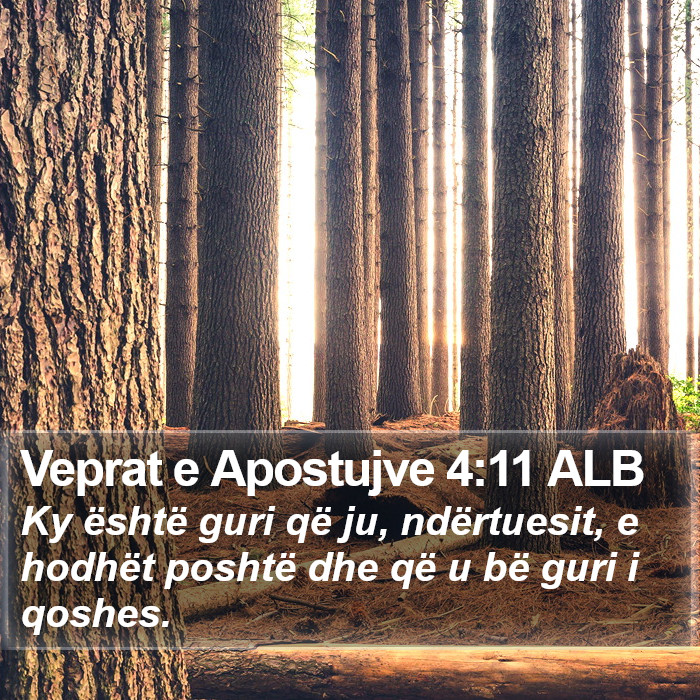 Veprat e Apostujve 4:11 ALB Bible Study