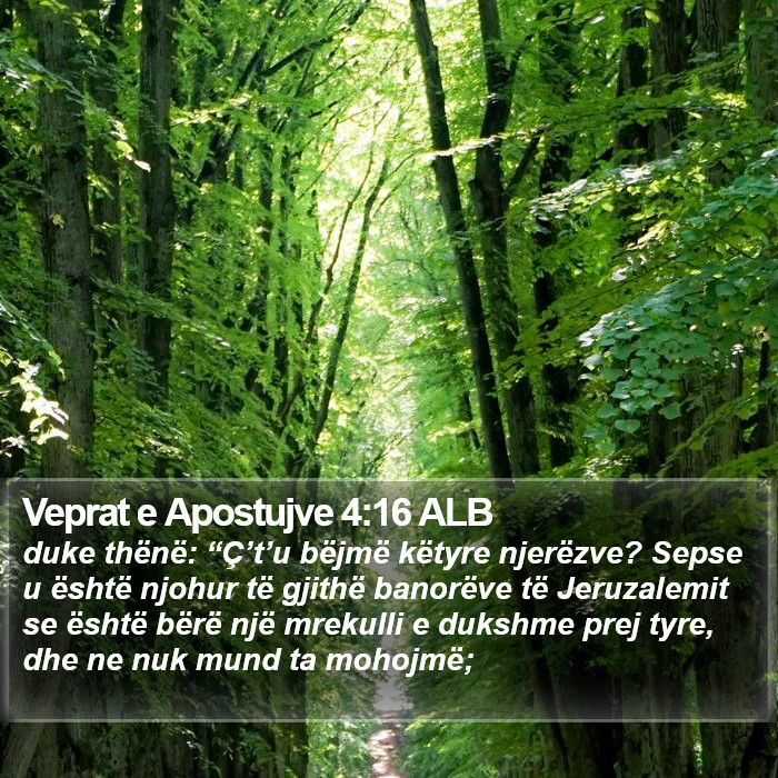 Veprat e Apostujve 4:16 ALB Bible Study