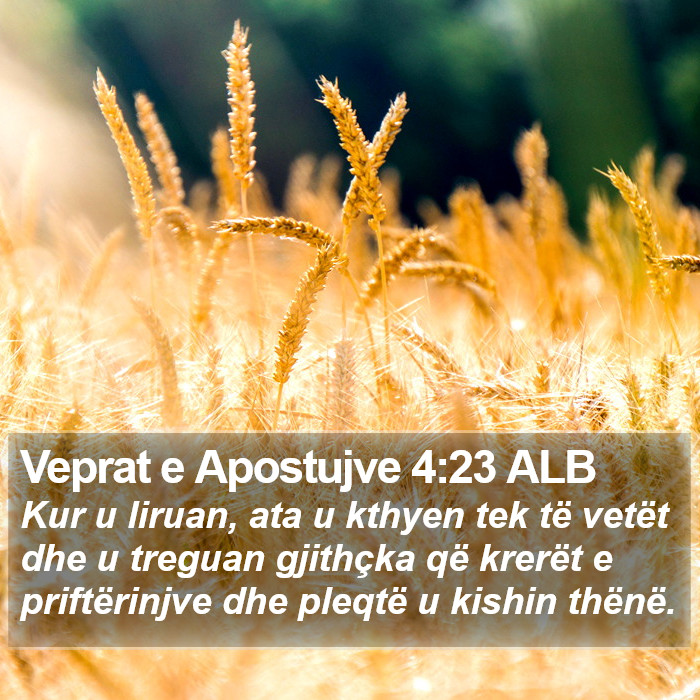 Veprat e Apostujve 4:23 ALB Bible Study