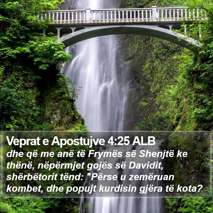 Veprat e Apostujve 4:25 ALB Bible Study
