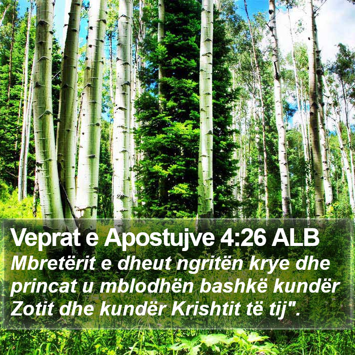 Veprat e Apostujve 4:26 ALB Bible Study