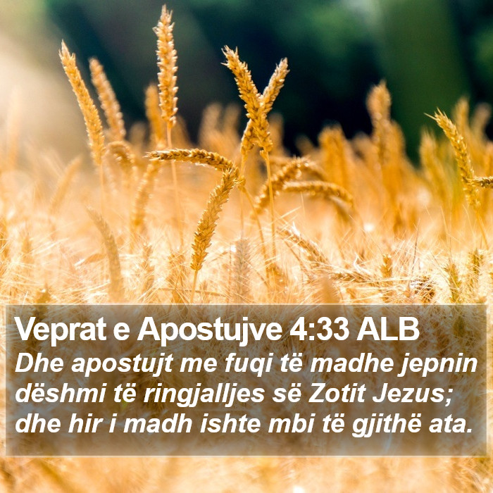 Veprat e Apostujve 4:33 ALB Bible Study