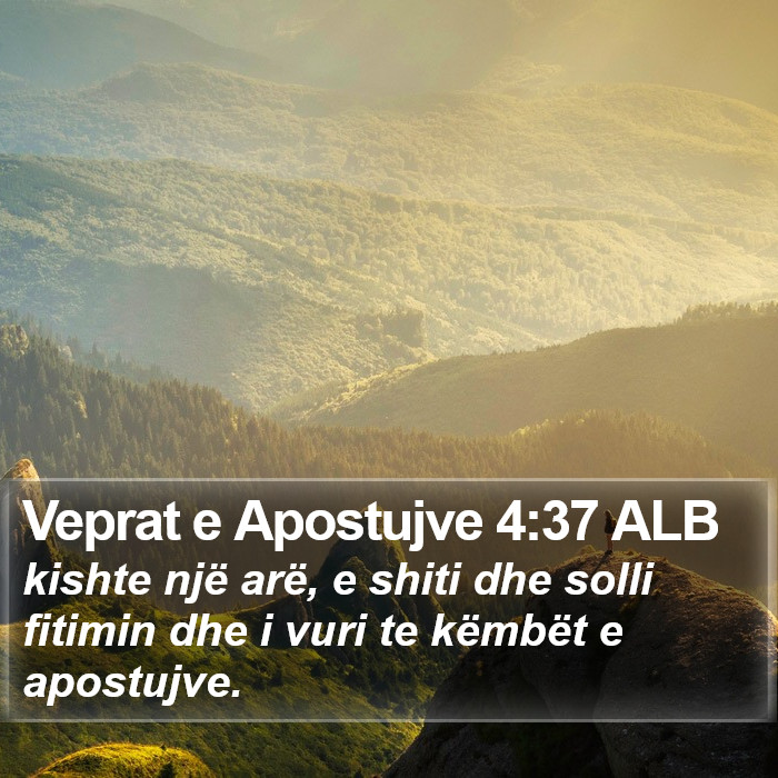 Veprat e Apostujve 4:37 ALB Bible Study