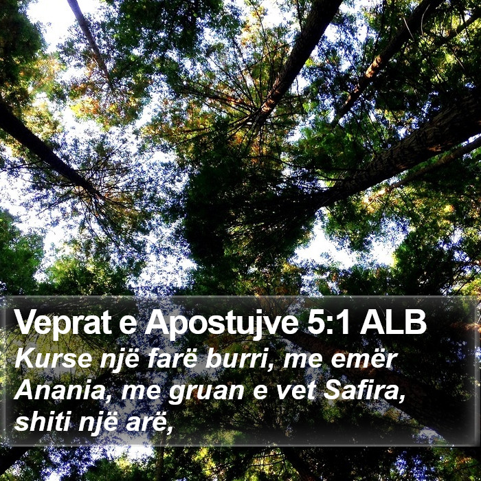 Veprat e Apostujve 5:1 ALB Bible Study