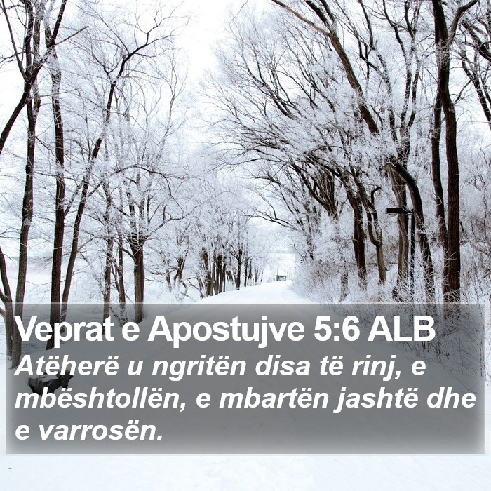 Veprat e Apostujve 5:6 ALB Bible Study