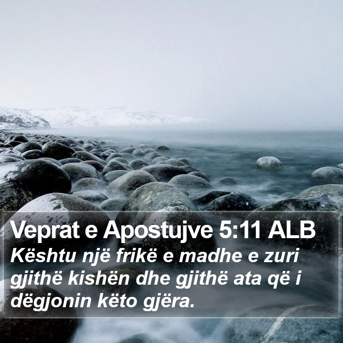 Veprat e Apostujve 5:11 ALB Bible Study