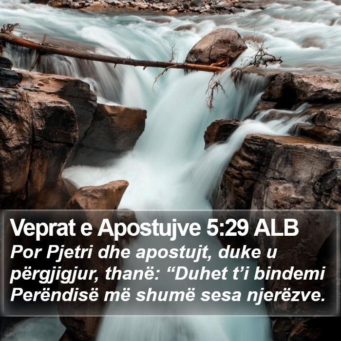 Veprat e Apostujve 5:29 ALB Bible Study