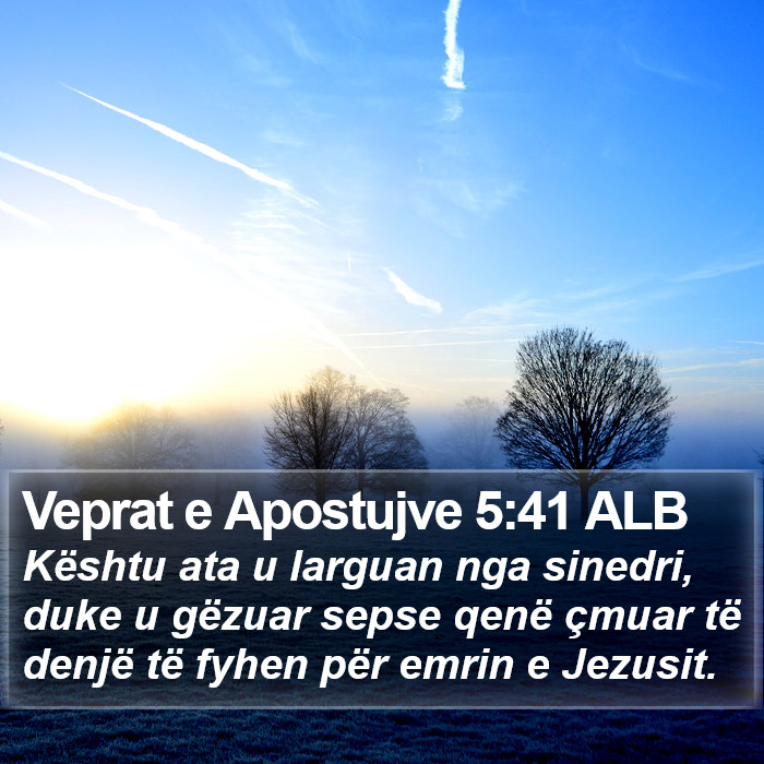 Veprat e Apostujve 5:41 ALB Bible Study