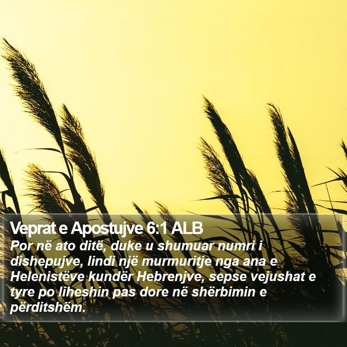 Veprat e Apostujve 6:1 ALB Bible Study